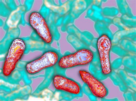 botulism toxin